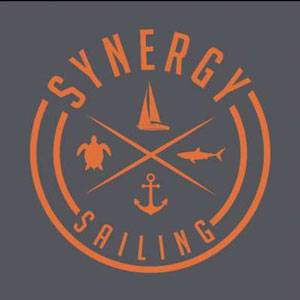 Synergy Logo