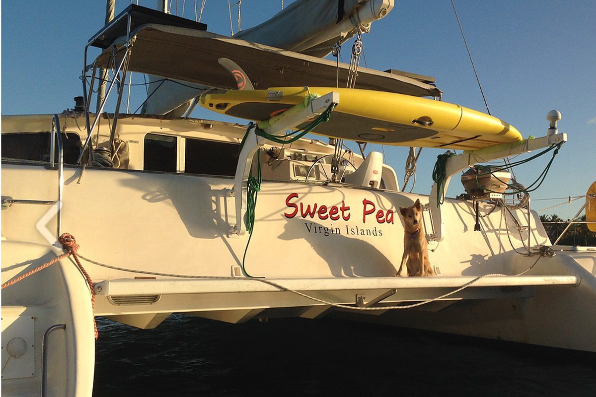 Sweet Pea CVLA