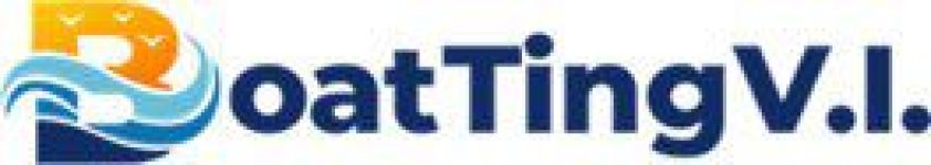 Boat Ting Flipside Logo