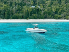 Island Chaser CVLA
