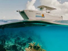 Island Roots III Cvla