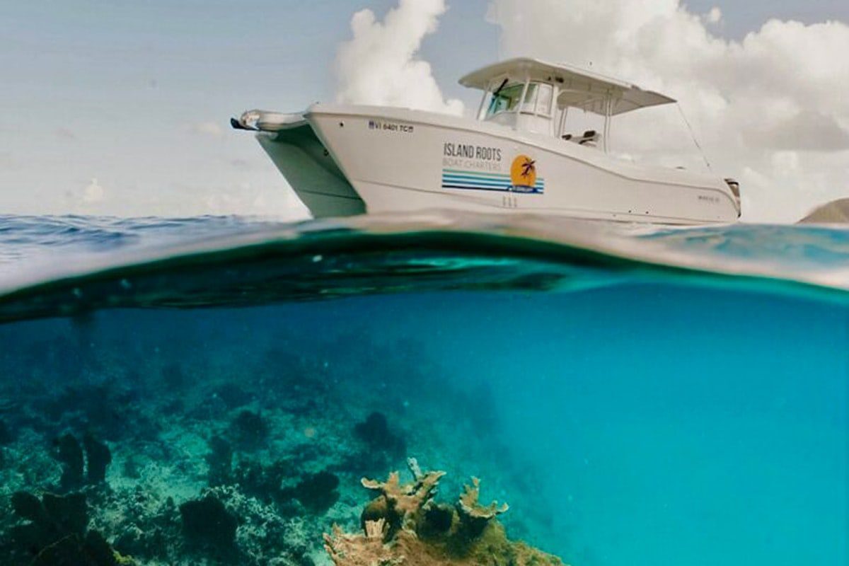 Island Roots III Cvla